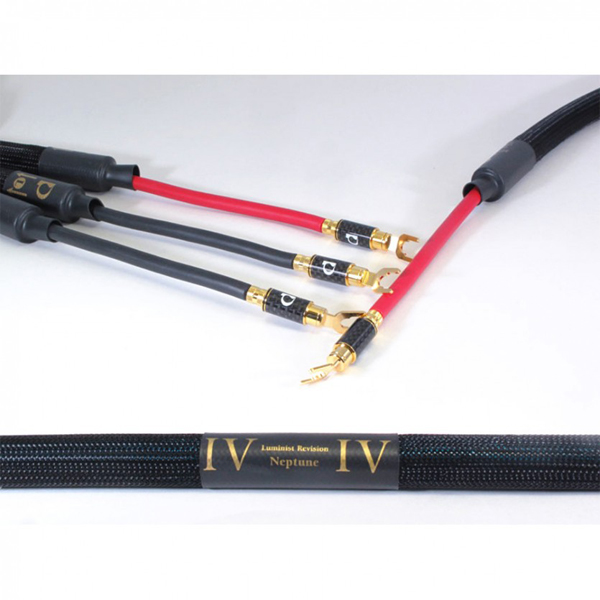 퍼스트 오디오 디자인 Neptune / PAD Neptune / 스피커케이블(3M)